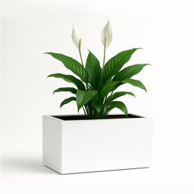 Prostokątna aluminiowa donica Normalis 60-115-37